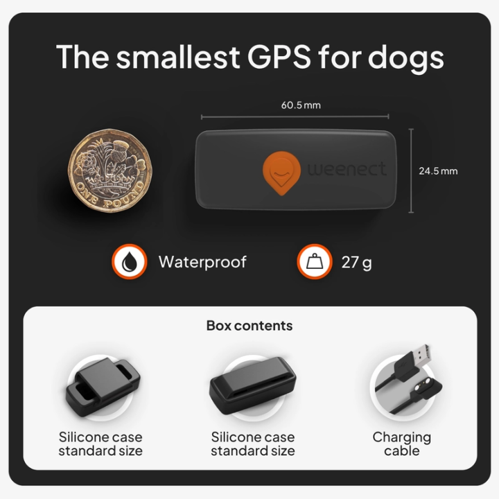 Mini GPS dog tracker - Weenect XS