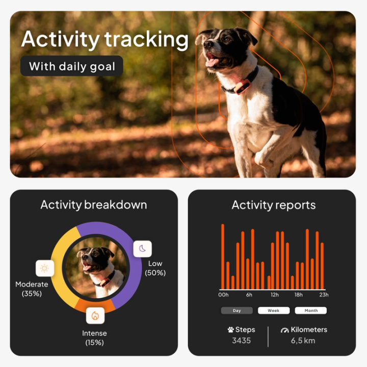 Mini GPS dog tracker - Weenect XS